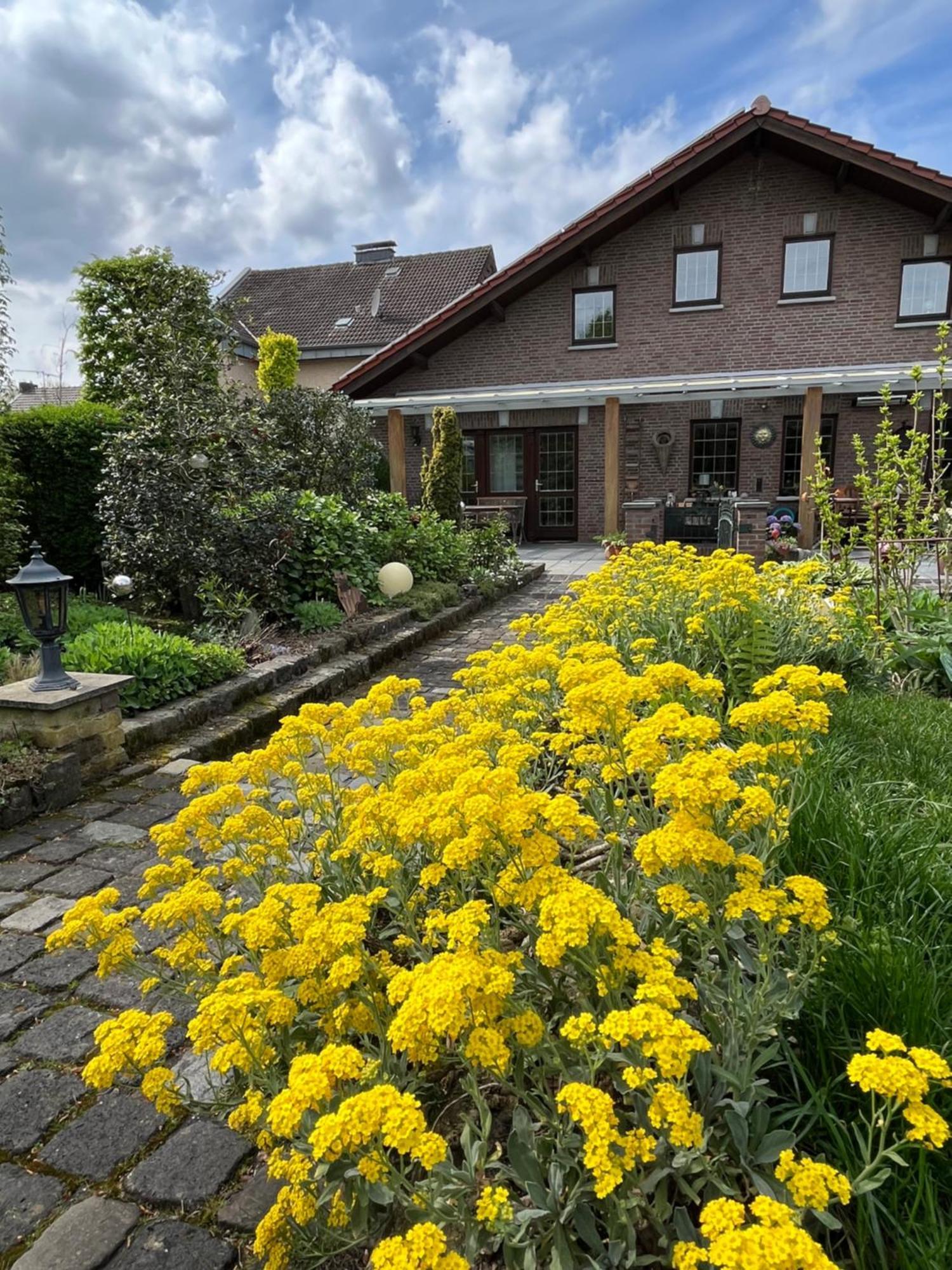Ferienwohnung Jansen Selfkant Buitenkant foto