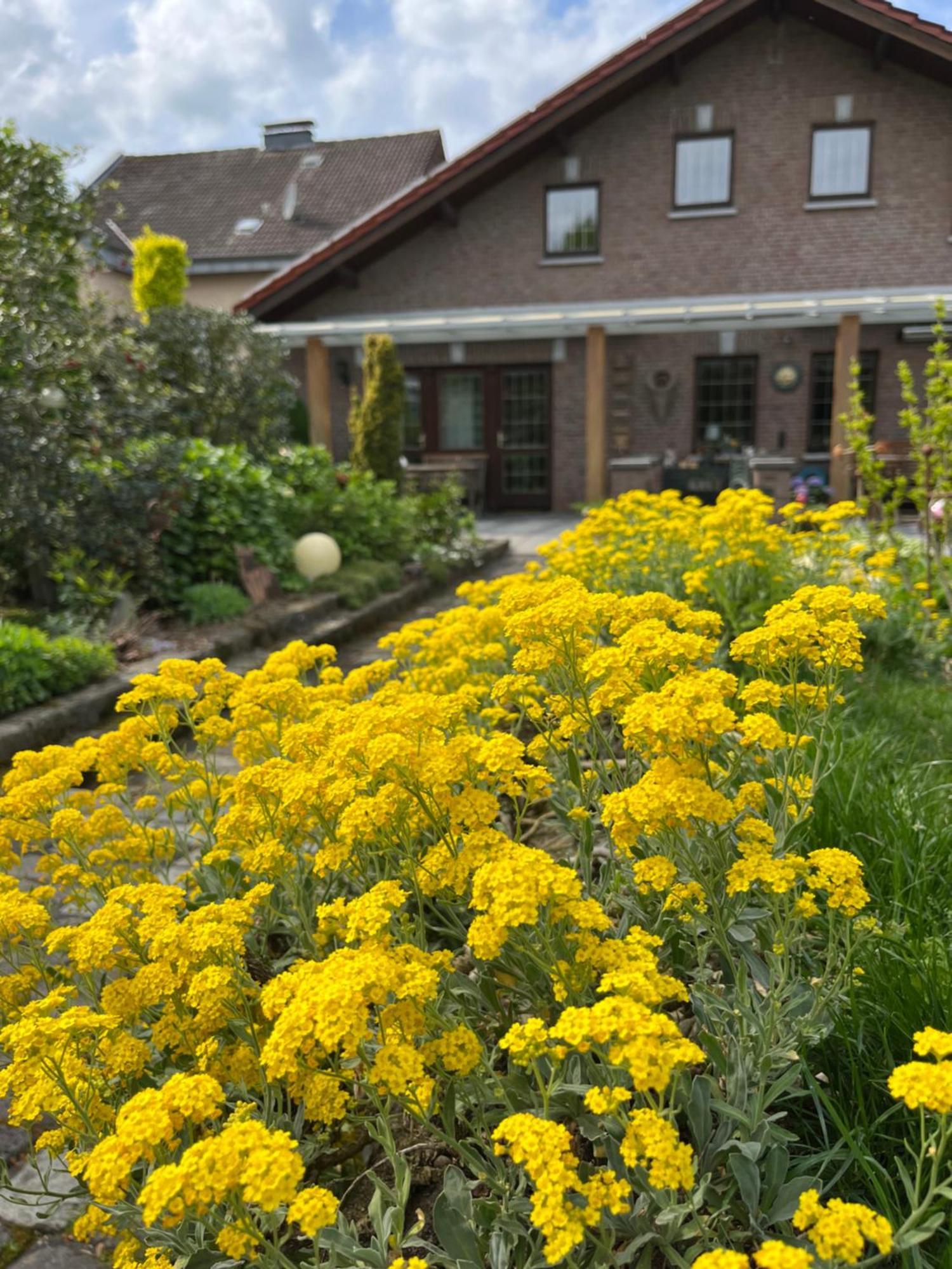 Ferienwohnung Jansen Selfkant Buitenkant foto